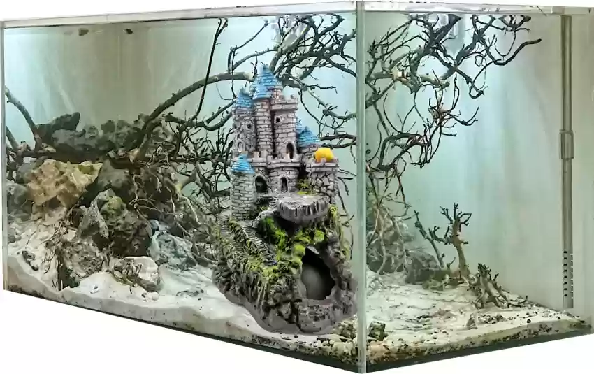 Aquarium Accessories