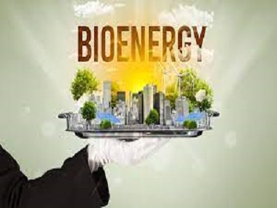 Bioenergy Market