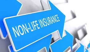 Brokers in Non-Life Insurance