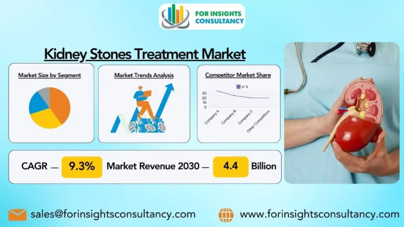 Kidney Stones Treatment Market