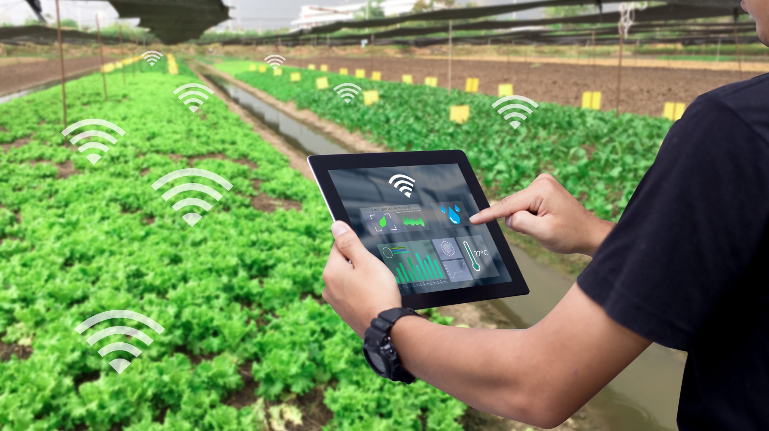 Smart Agriculture System Market