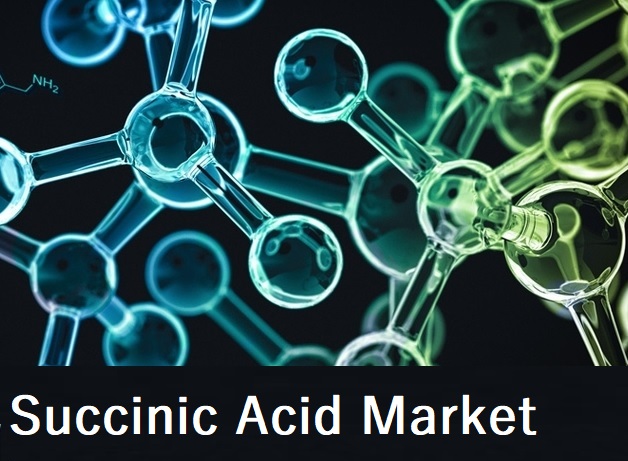 Succinic Acid Market