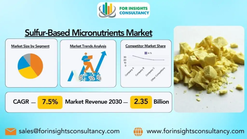 Sulfur-Based Micronutrients Market