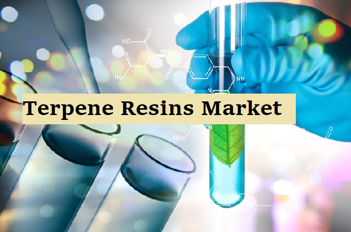 Terpene Resins Market