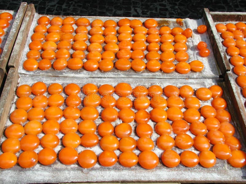 Dried Egg Yolks Market