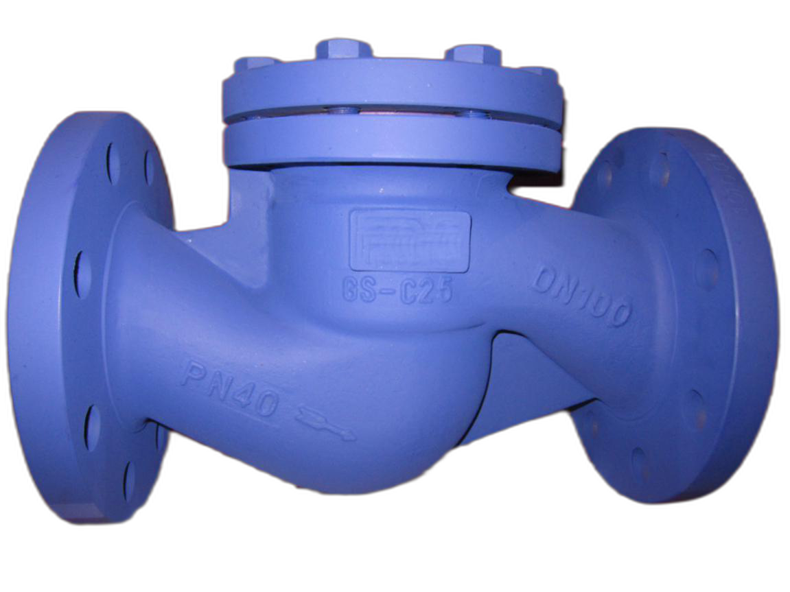 Lift Check Valve Market 2024: Investors Still Miss the Big Assessment