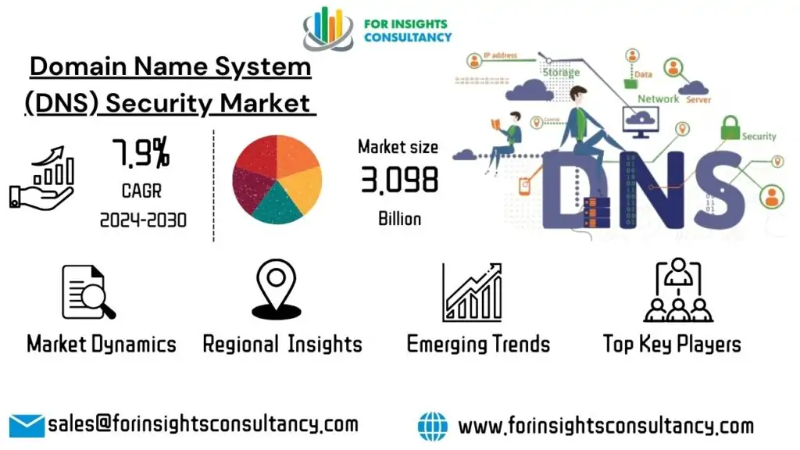 Domain Name System (DNS) Security Market