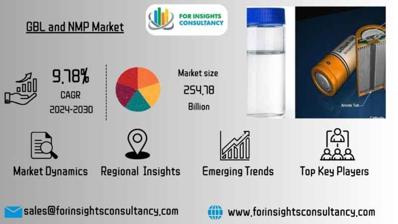 GBL and NMP Market