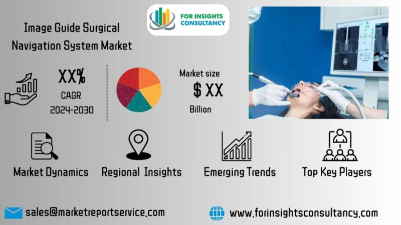 Image Guide Surgical Navigation System Market