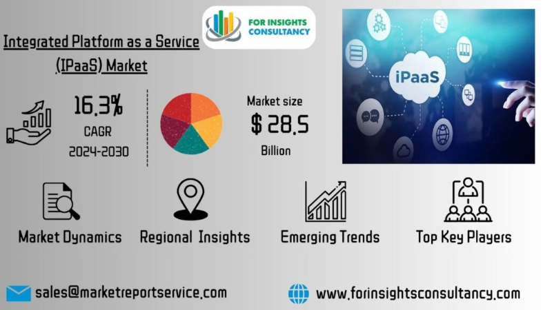 Integrated Platform as a Service IPaaS Market