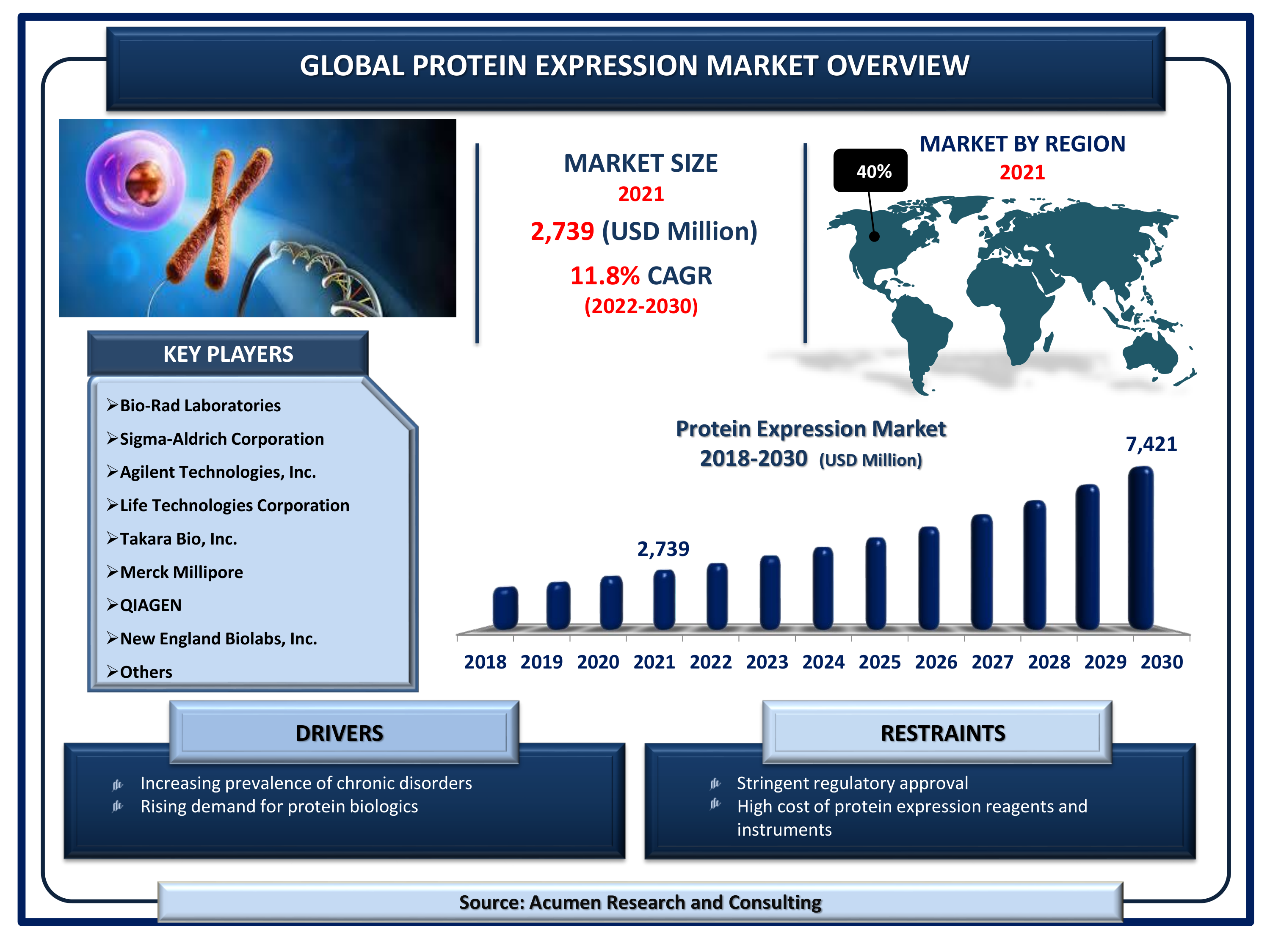 Protein Expression Market