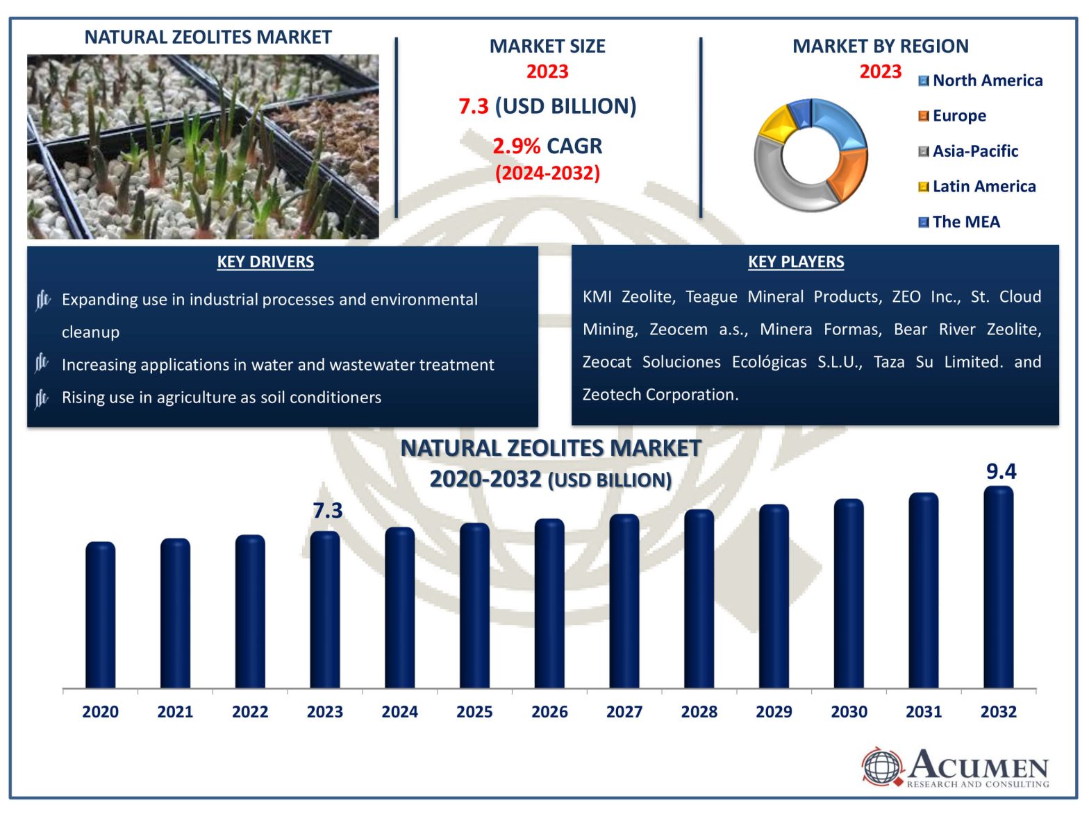 Natural Zeolites Market